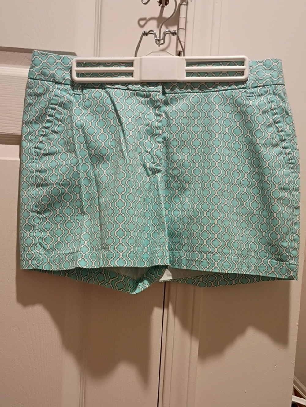 Printed Mint Green Women's Shorts